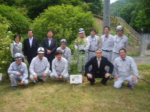 IMGP7351